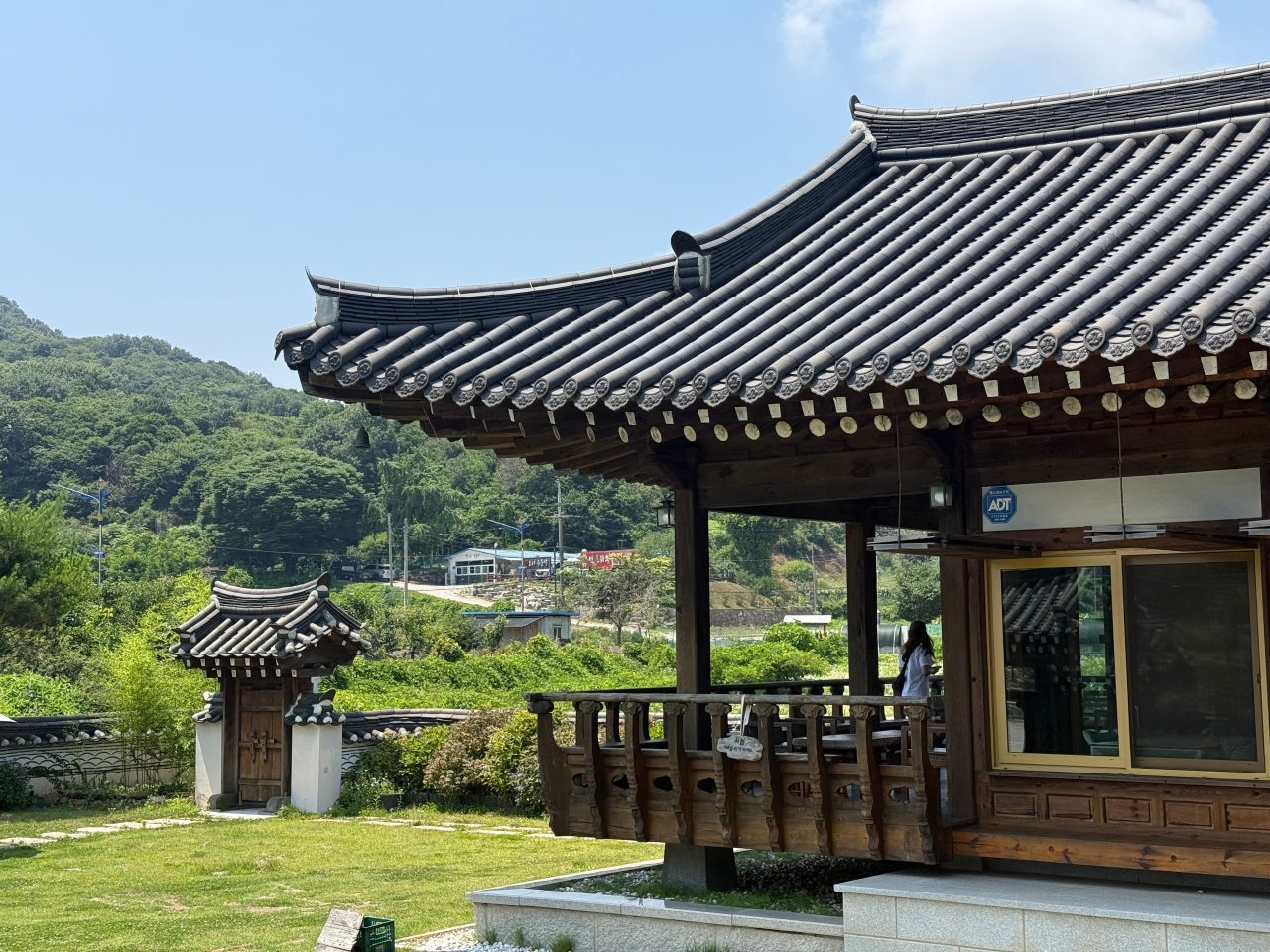 드리우니 사진