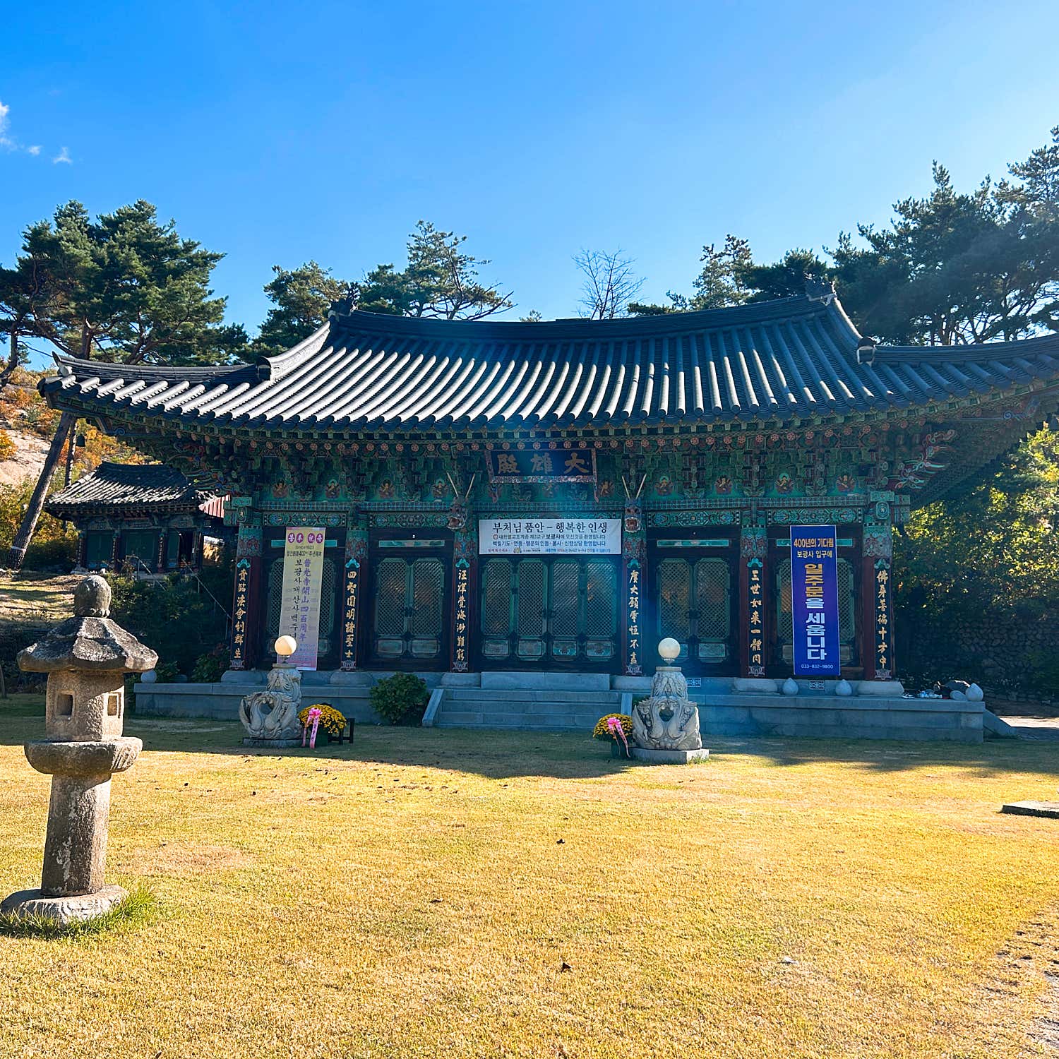 최가네 사진 5