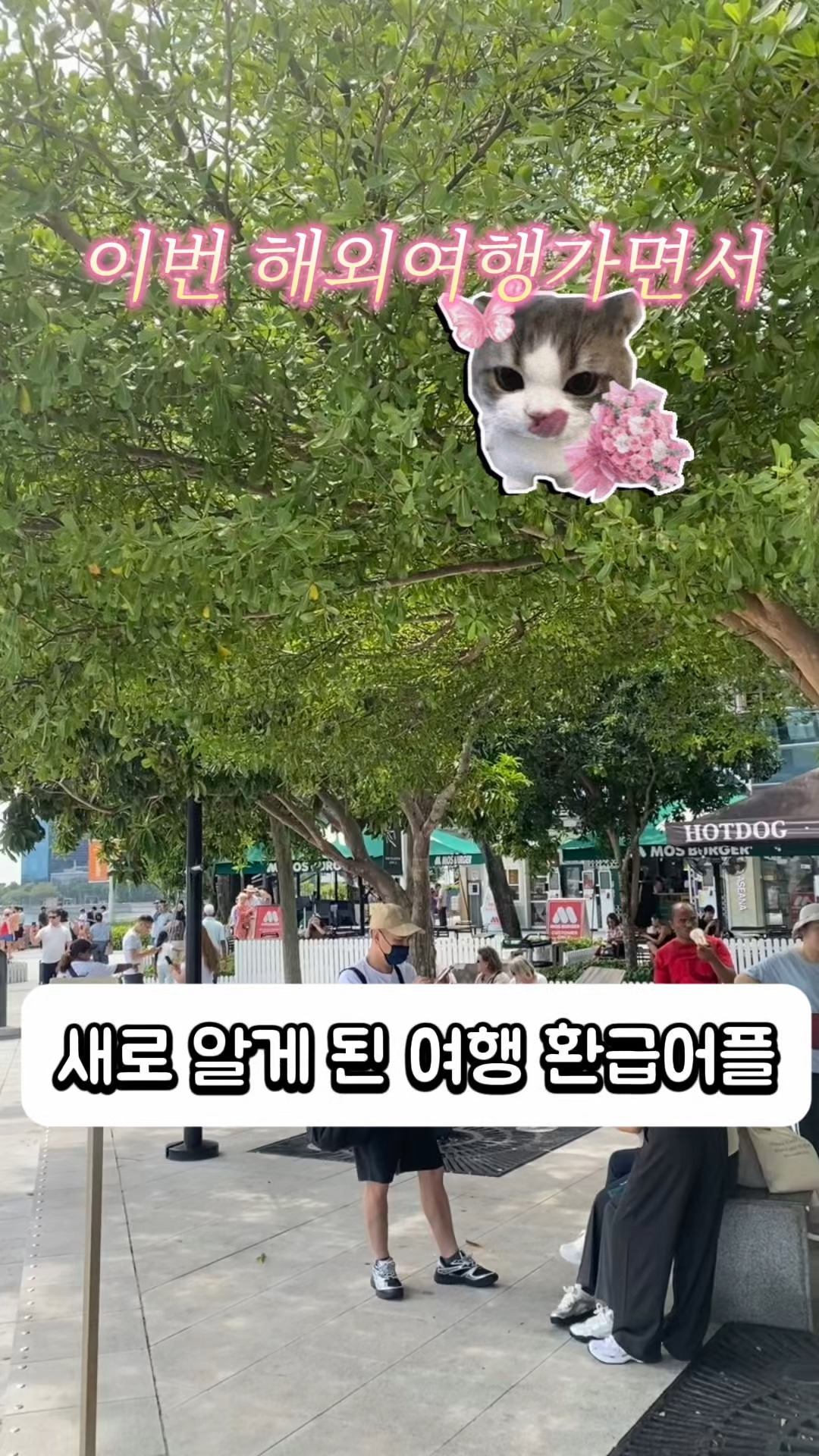 단풍 사진 2