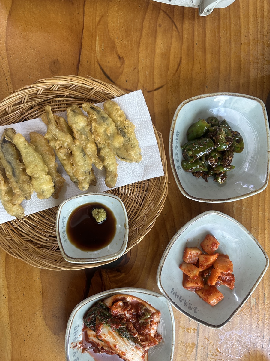 홍질목 사진 4