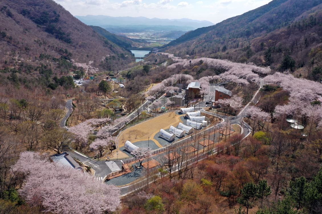월아산 숲속의 진주 사진 1