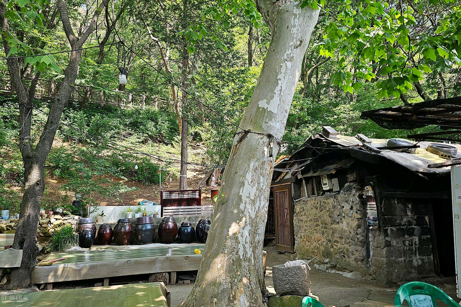 박씨네 사진 5