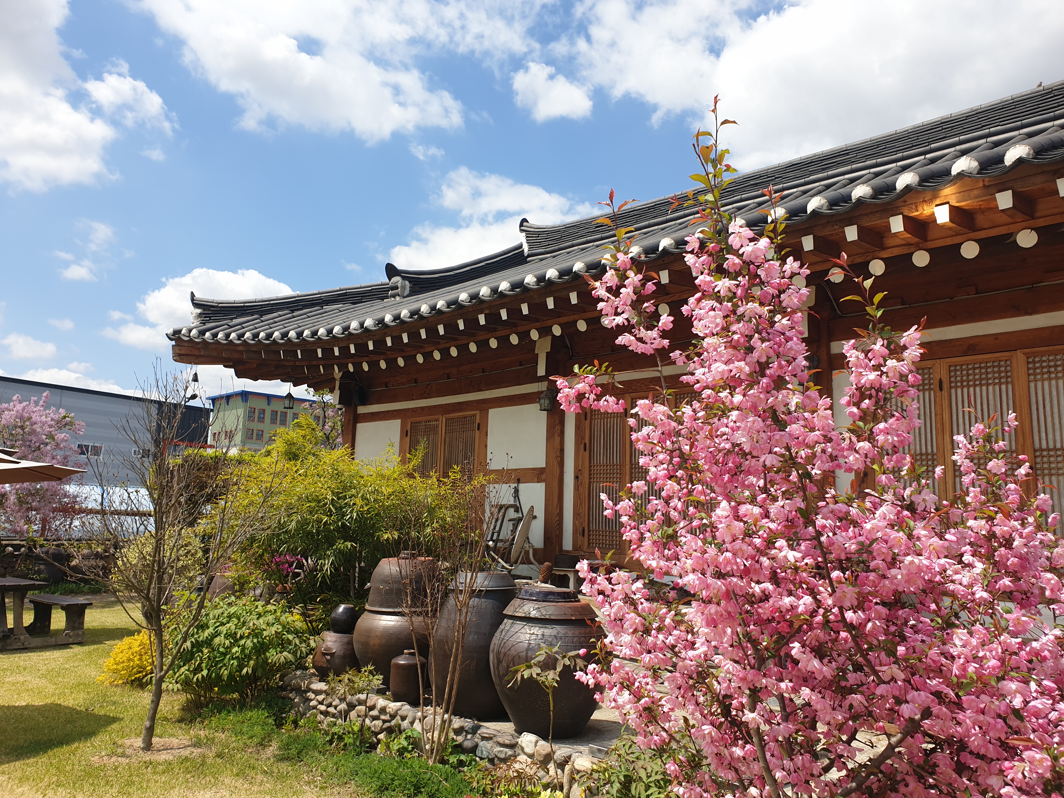 희원 사진 3