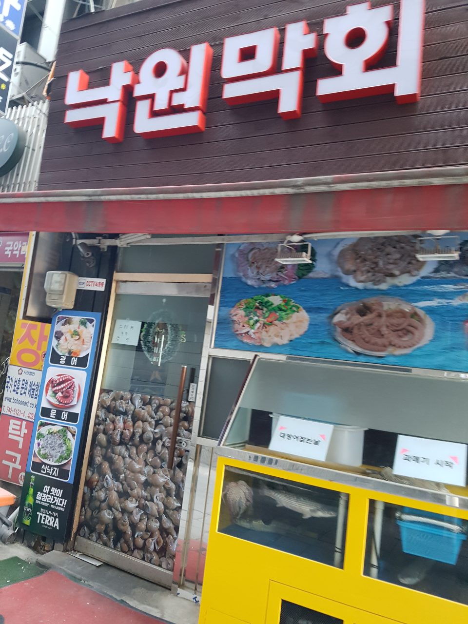 낙원막회 사진