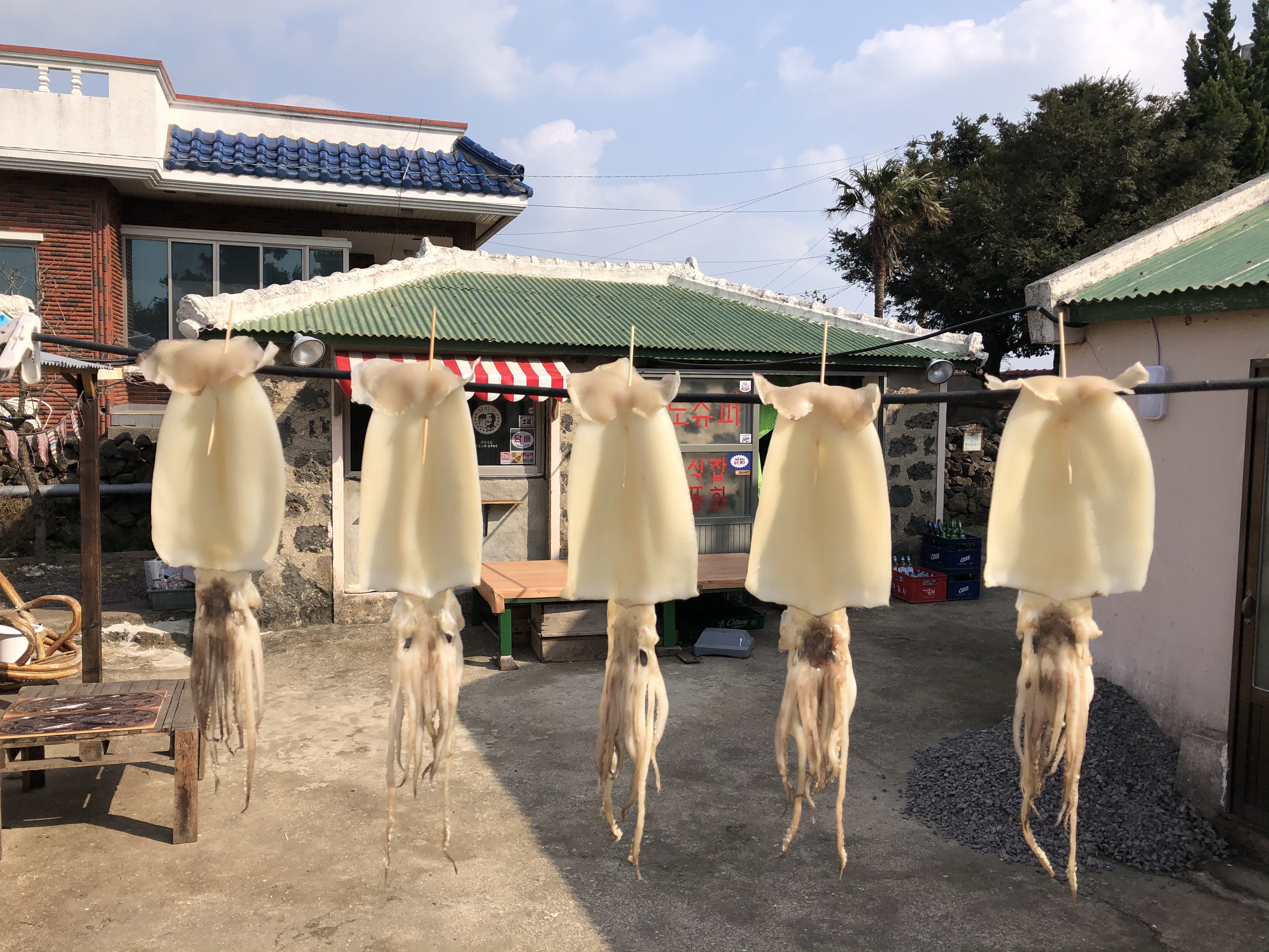취하도 사진 5