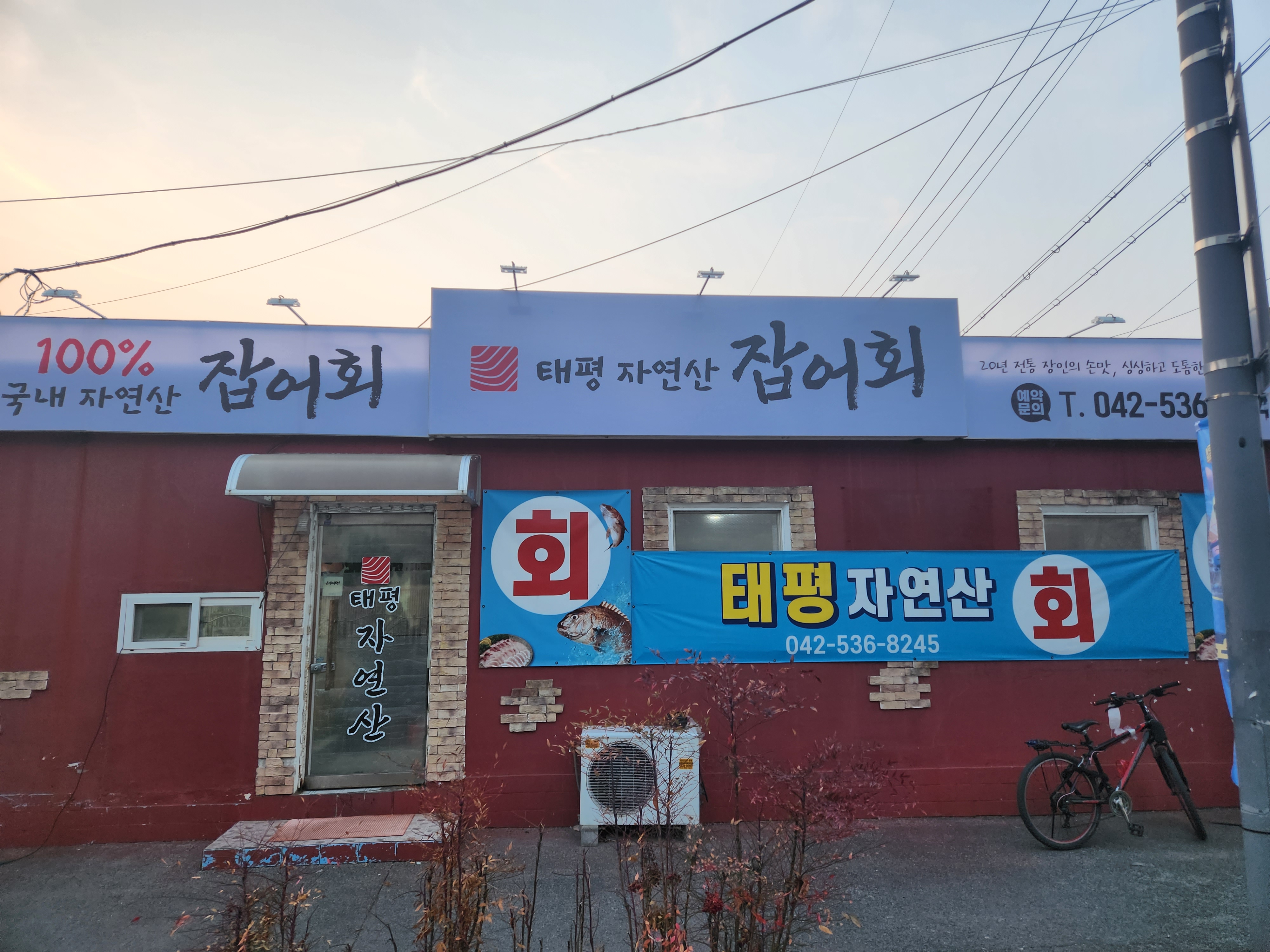 태평자연산잡어회 사진 3