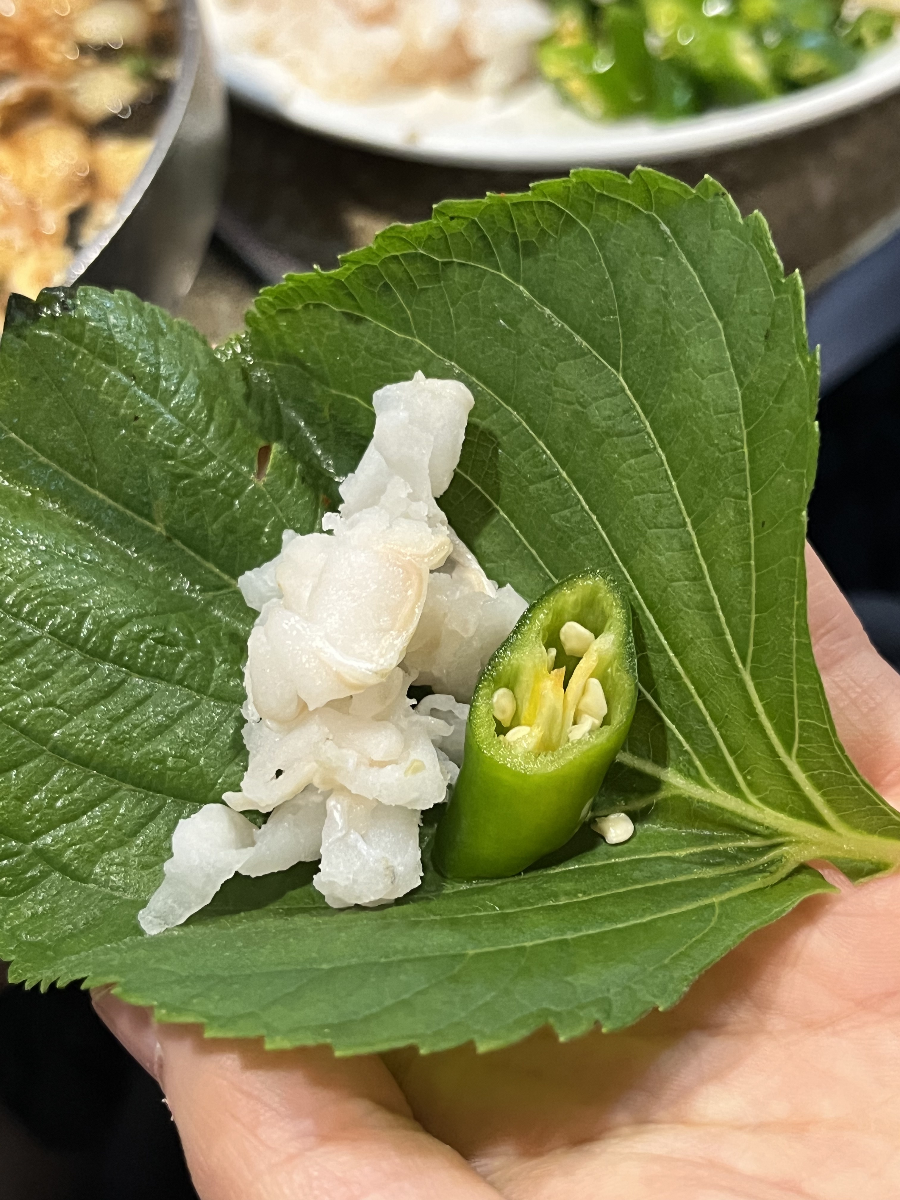 재민네 사진 5