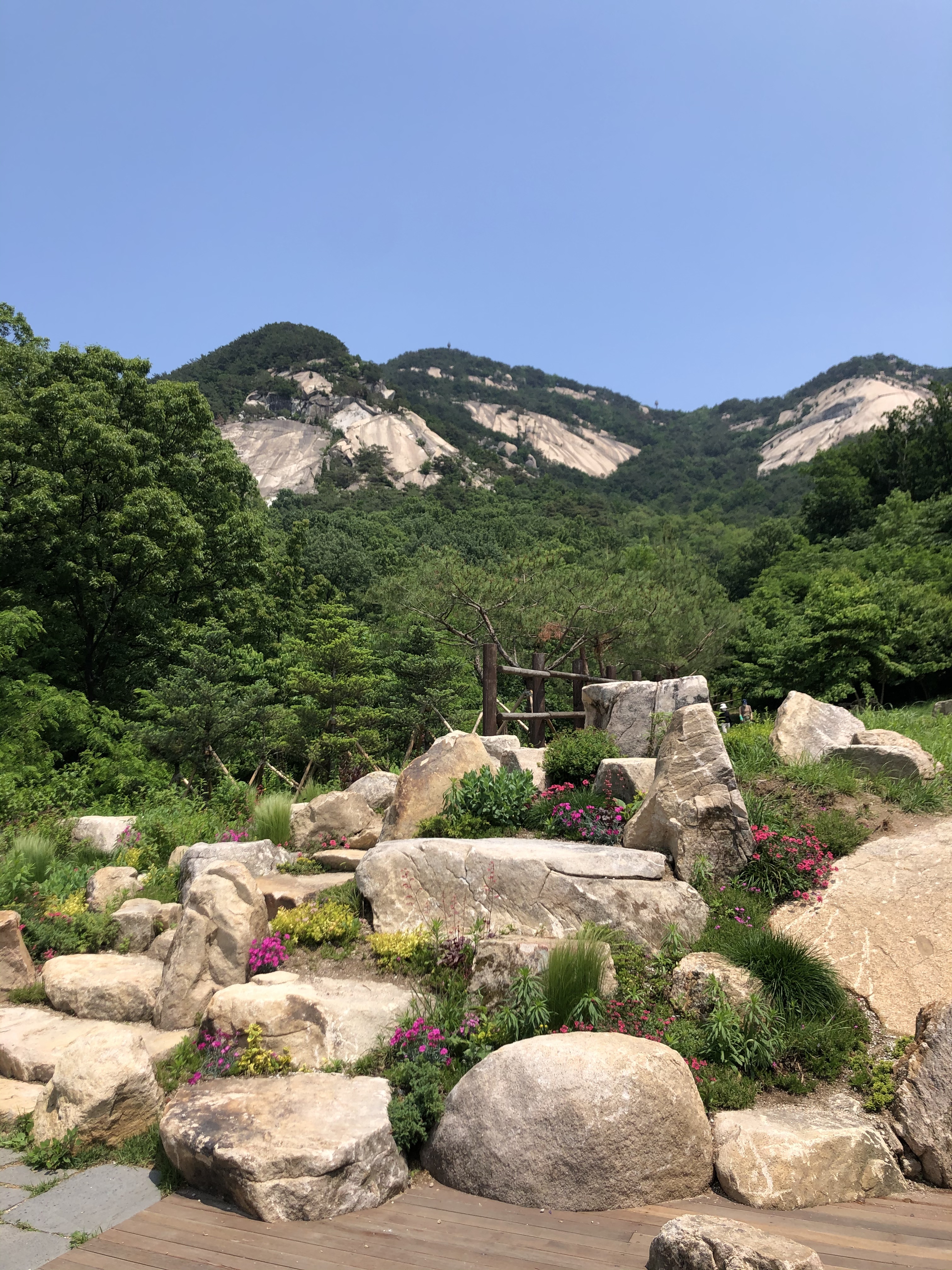 카페포레스트 사진 3