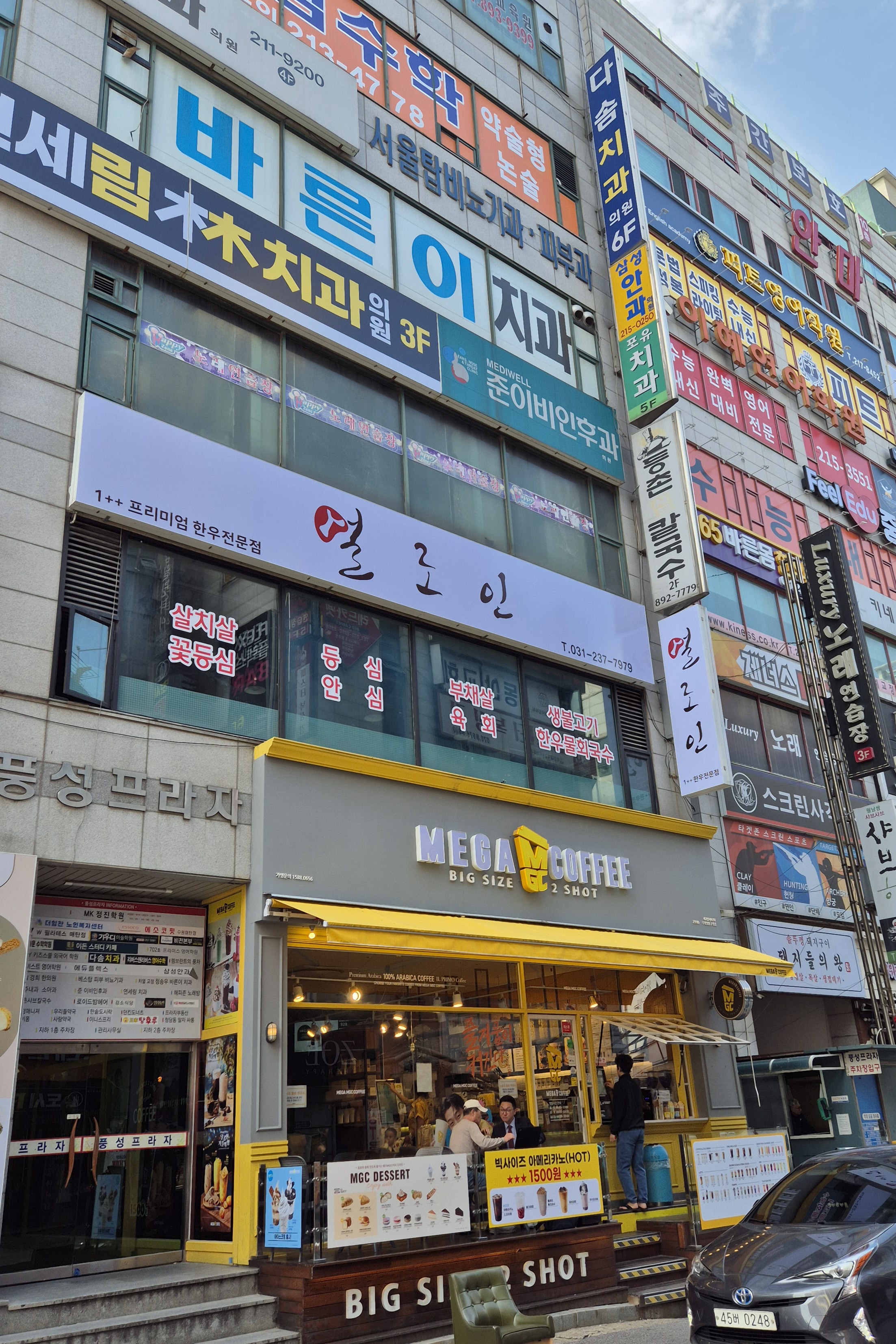 설로인 사진 5