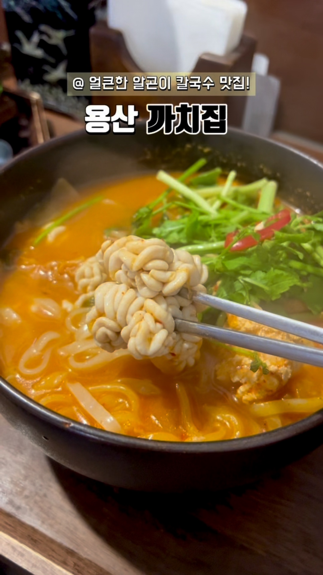 까치집 사진 2