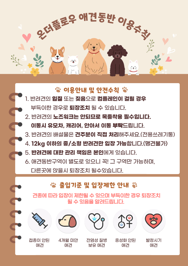온더플로우 사진 3