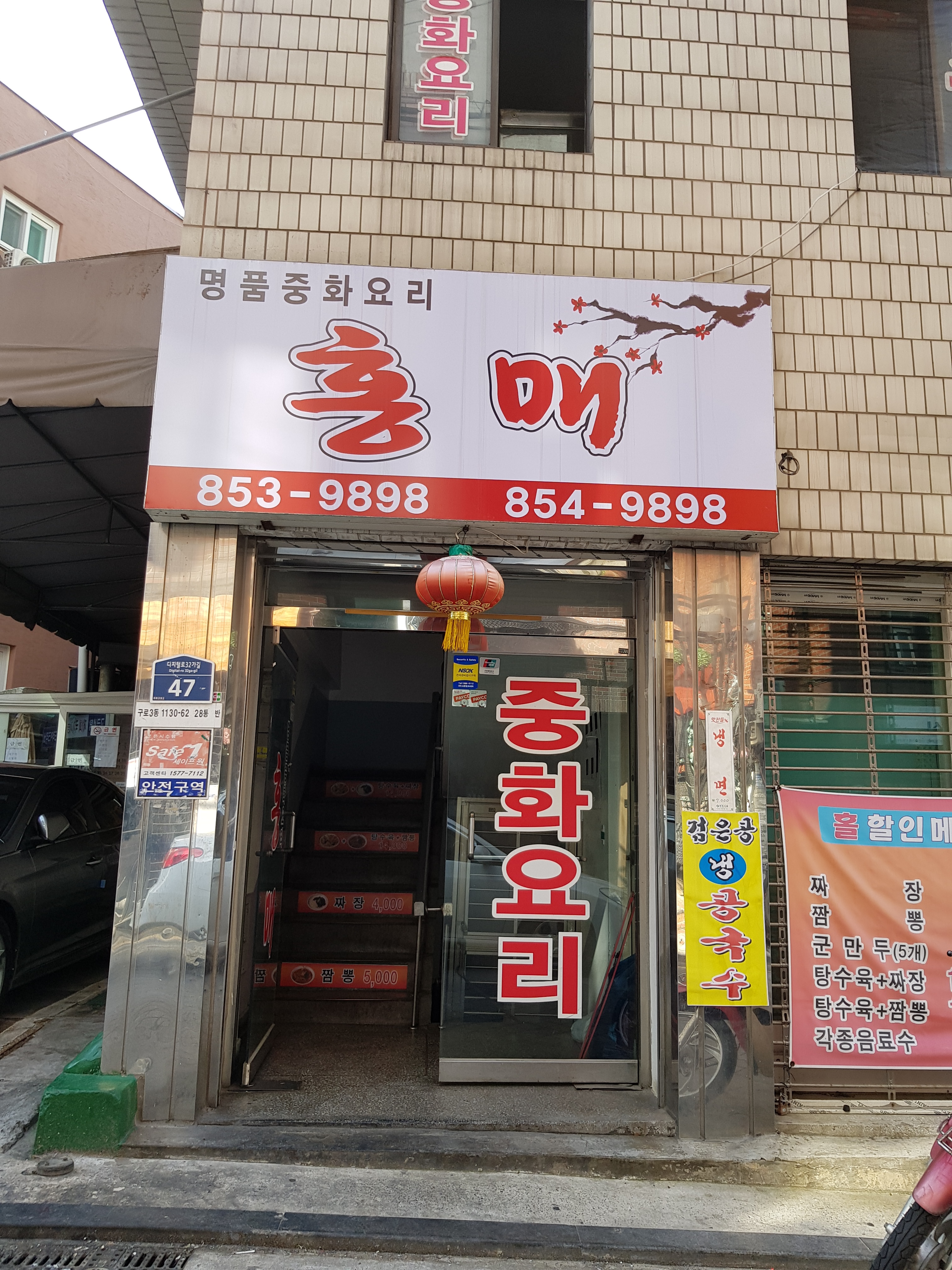 홍매 사진 2