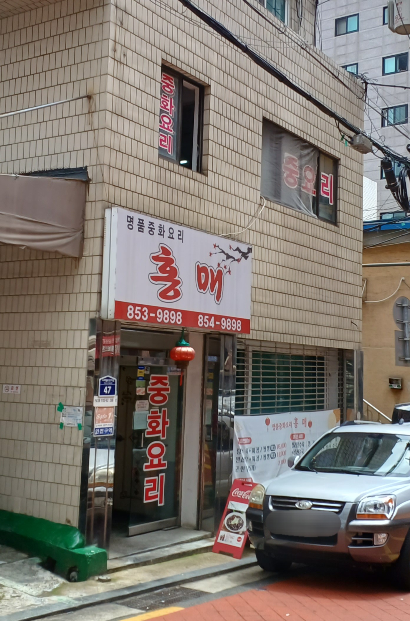 홍매 사진 3