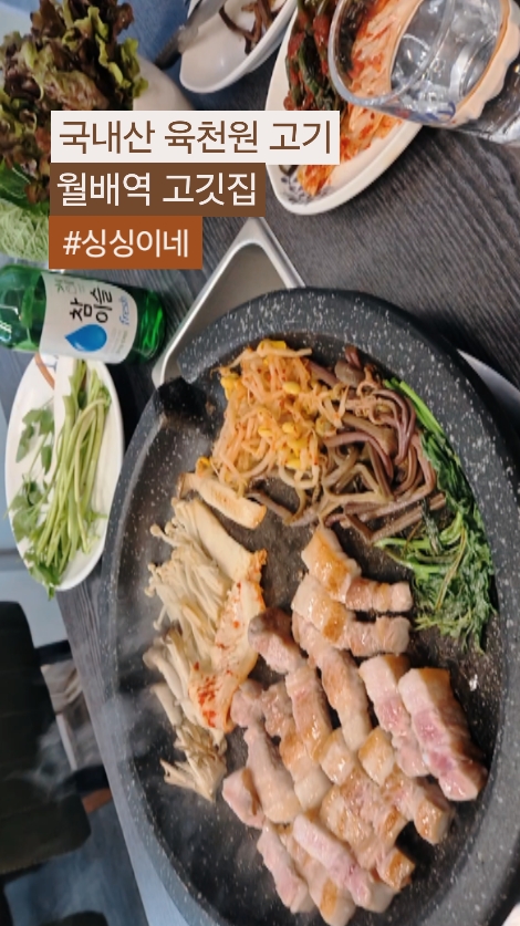 싱싱이네 사진 2