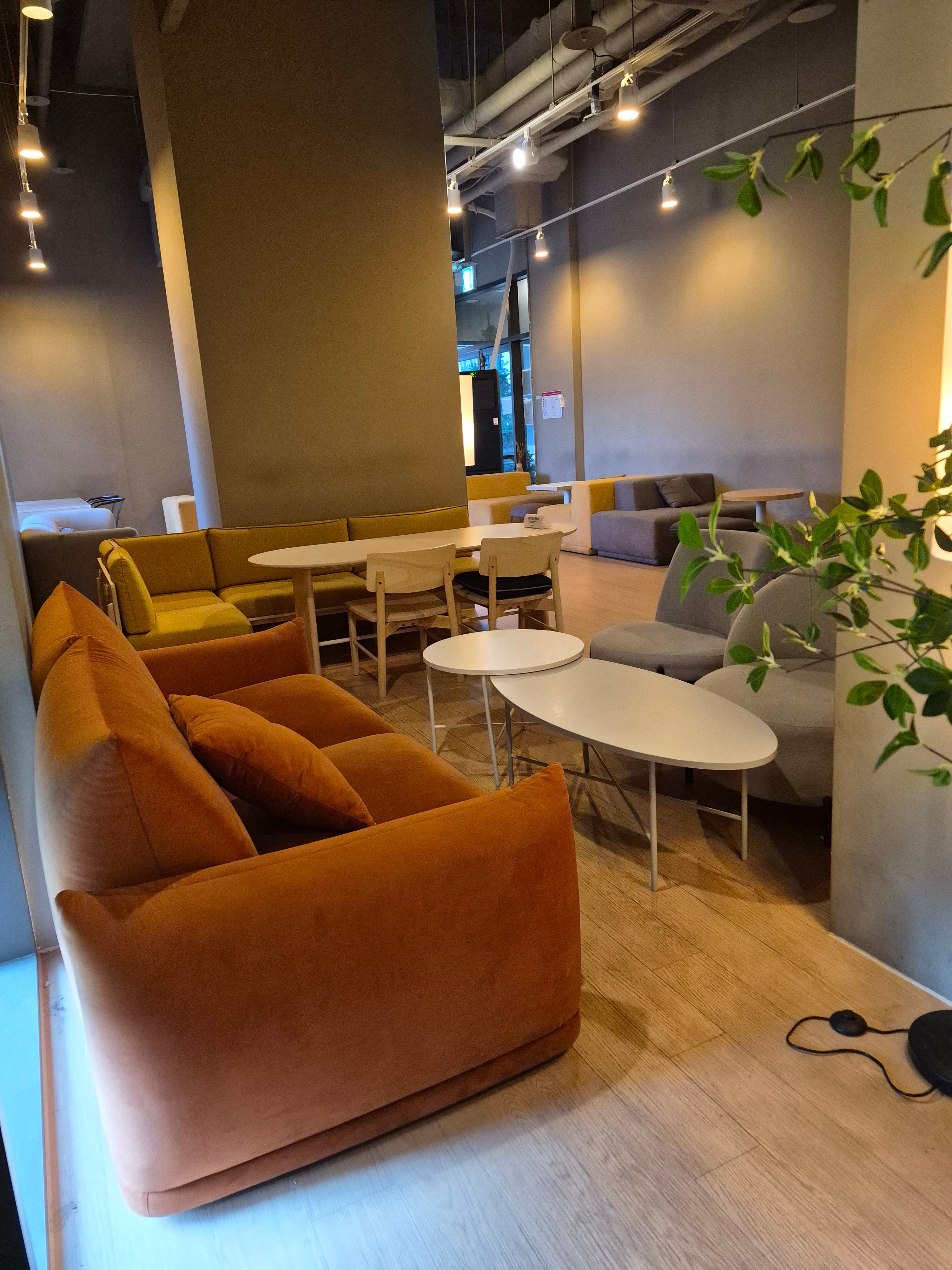 더노벰버라운지 청량리그라시엘점 사진 1