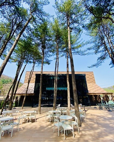 스타벅스 용인고기동유원지점 사진 5
