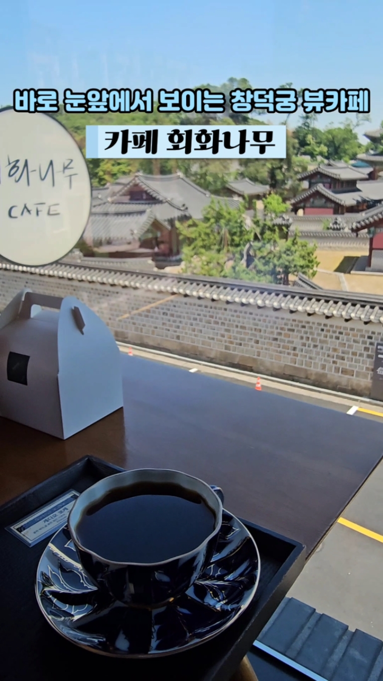 회화나무 사진 2