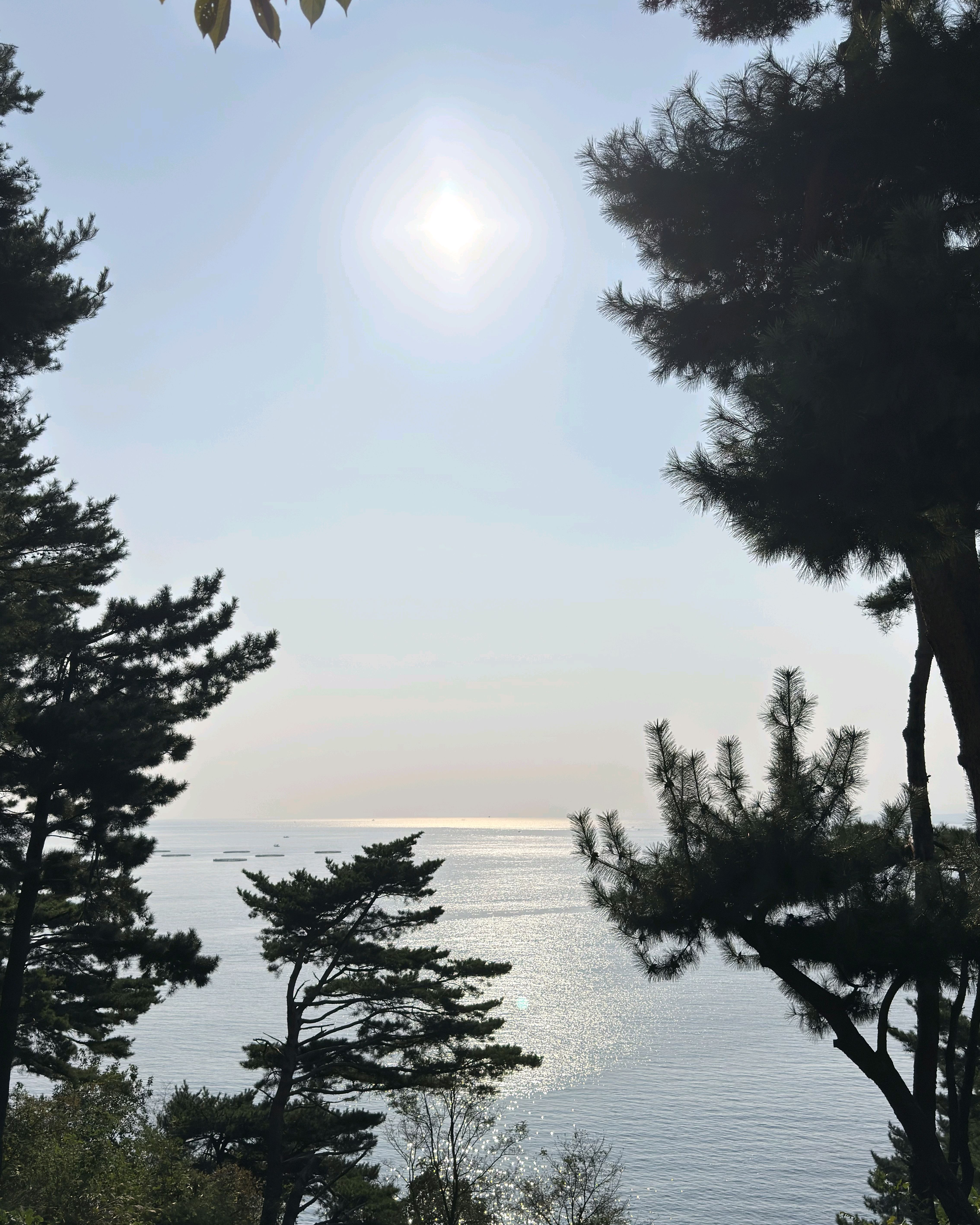 외옹치바다향기로 (보수공사 통행금지) 사진 5