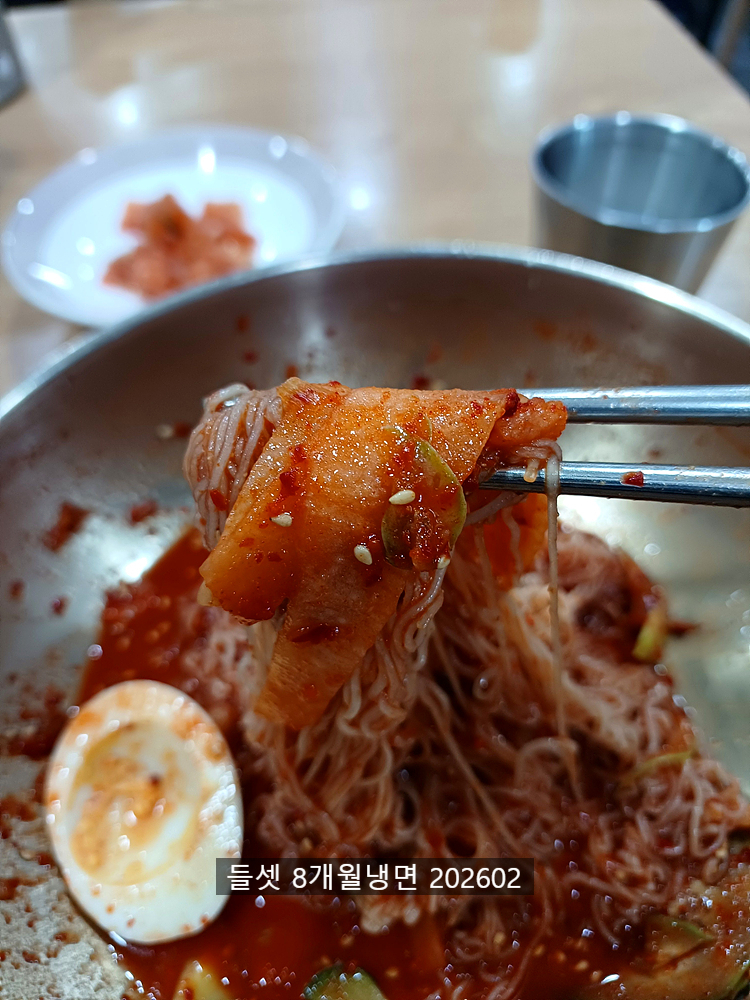 8개월냉면 사진 5