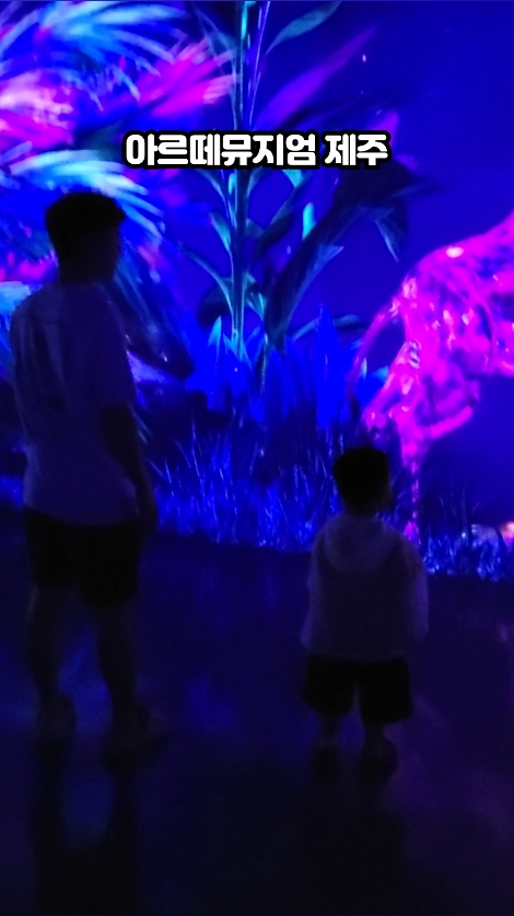 아르떼뮤지엄 제주 사진 3