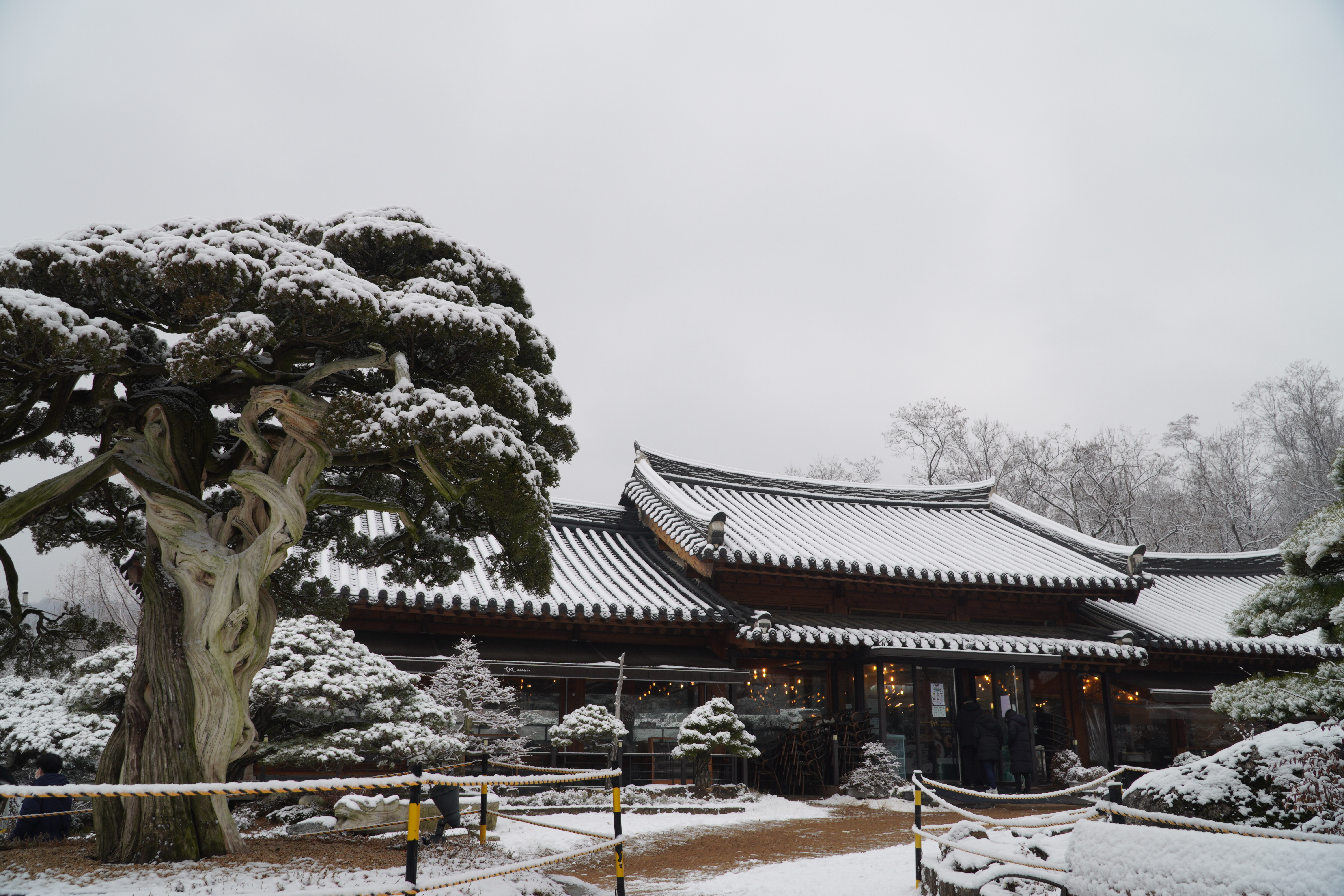 홍종흔베이커리 사진 2