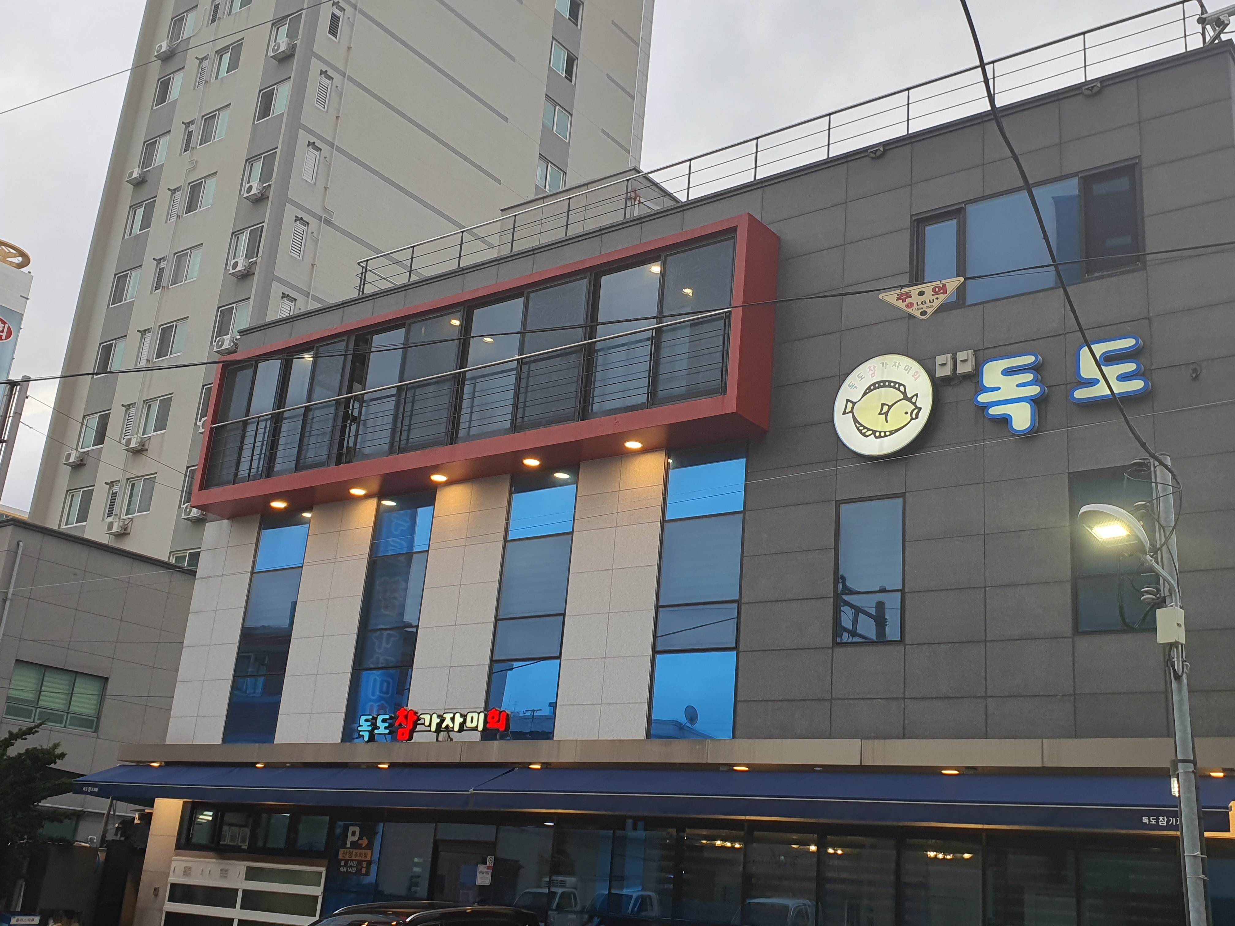 독도참가자미 사진 1