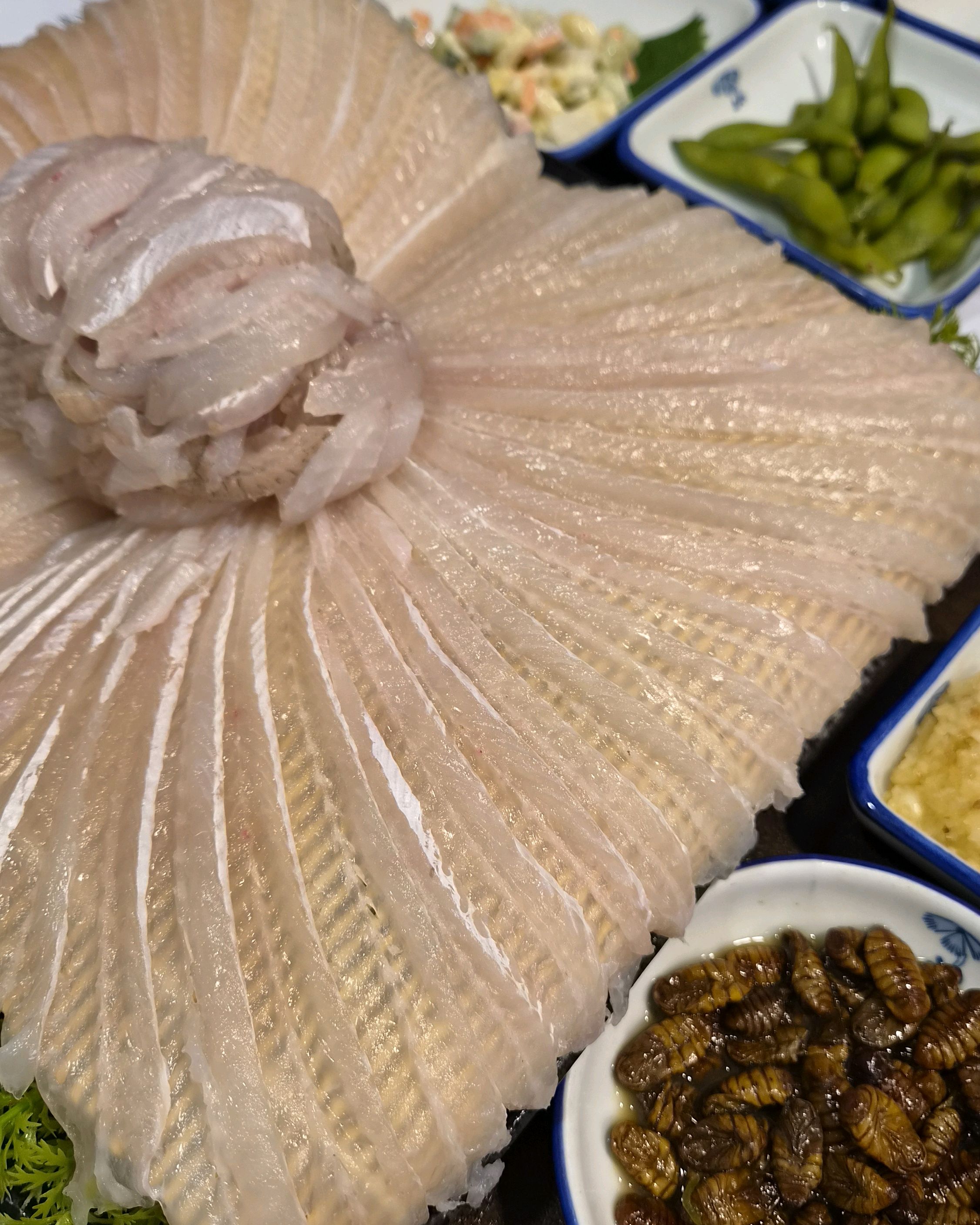 독도참가자미 사진 2