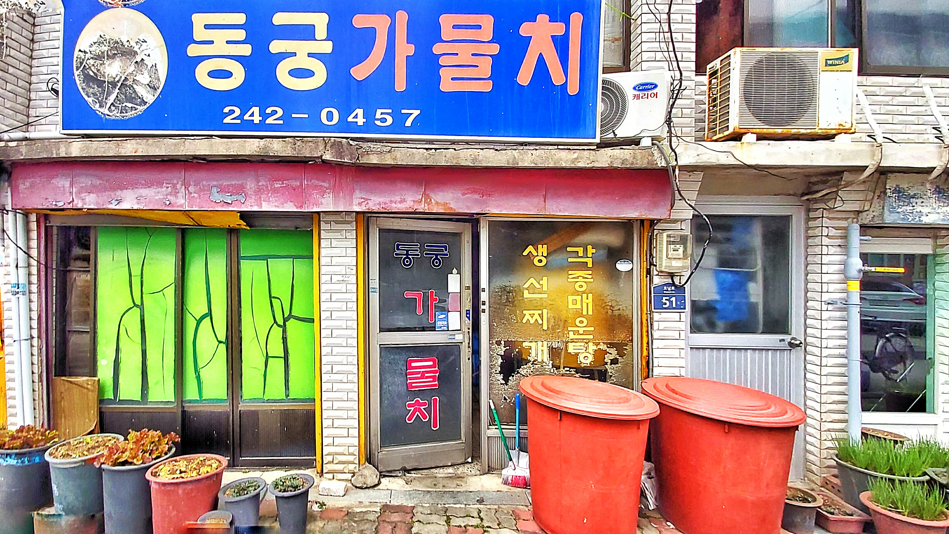 동궁가물치 사진