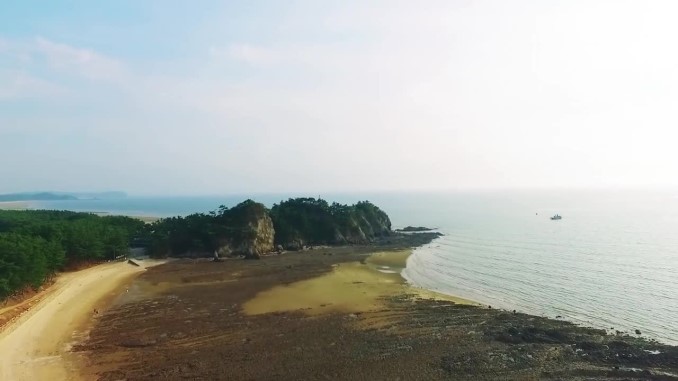 백사장사계절숲속캠핑장 사진 4