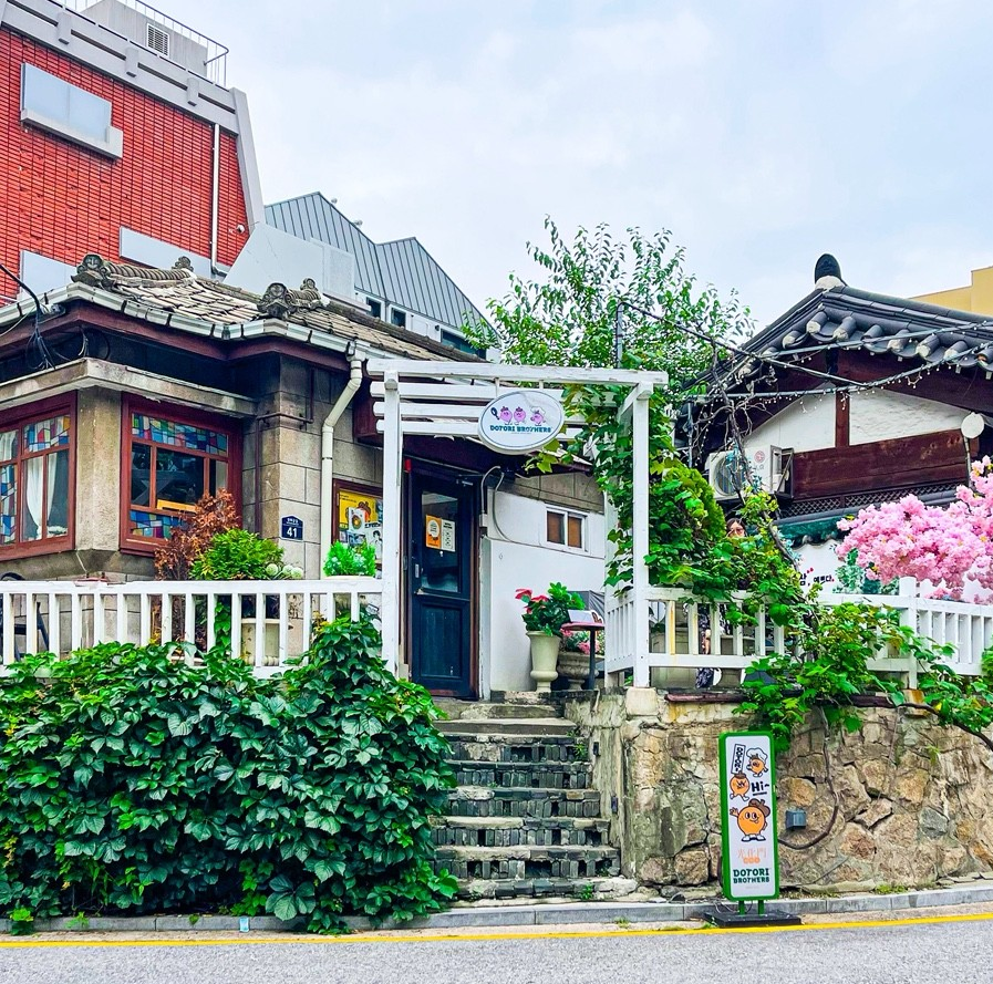 도토리브라더스 광화문본점 사진 1