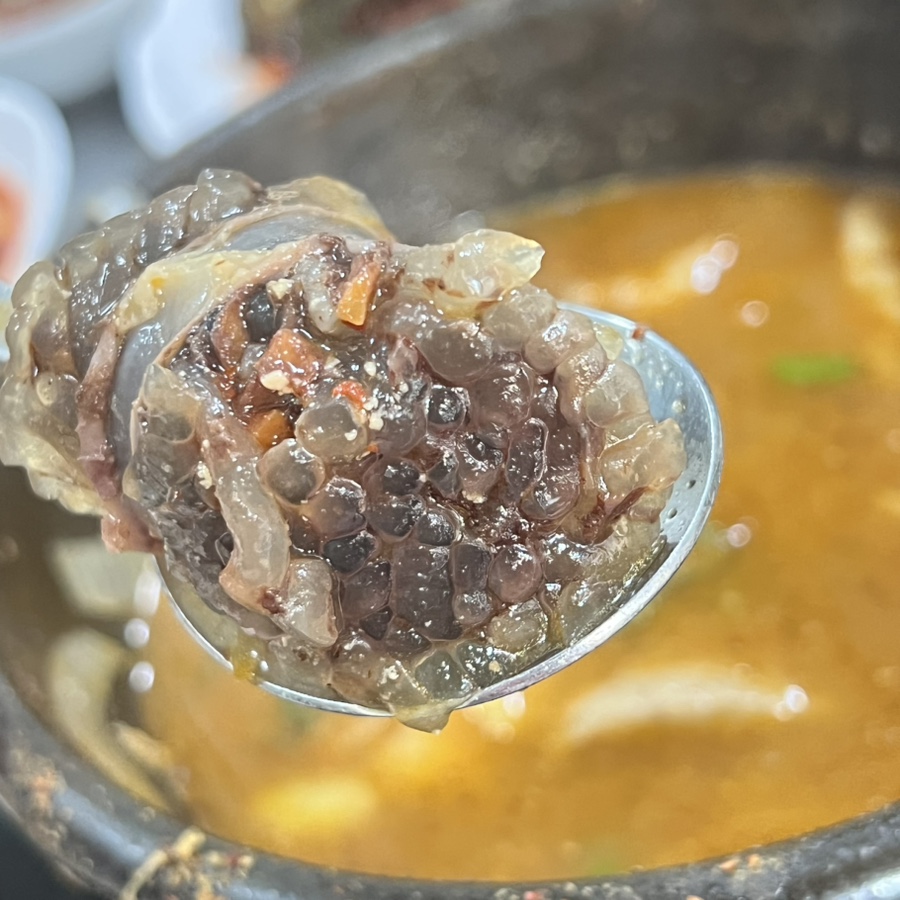 일등집 사진 5