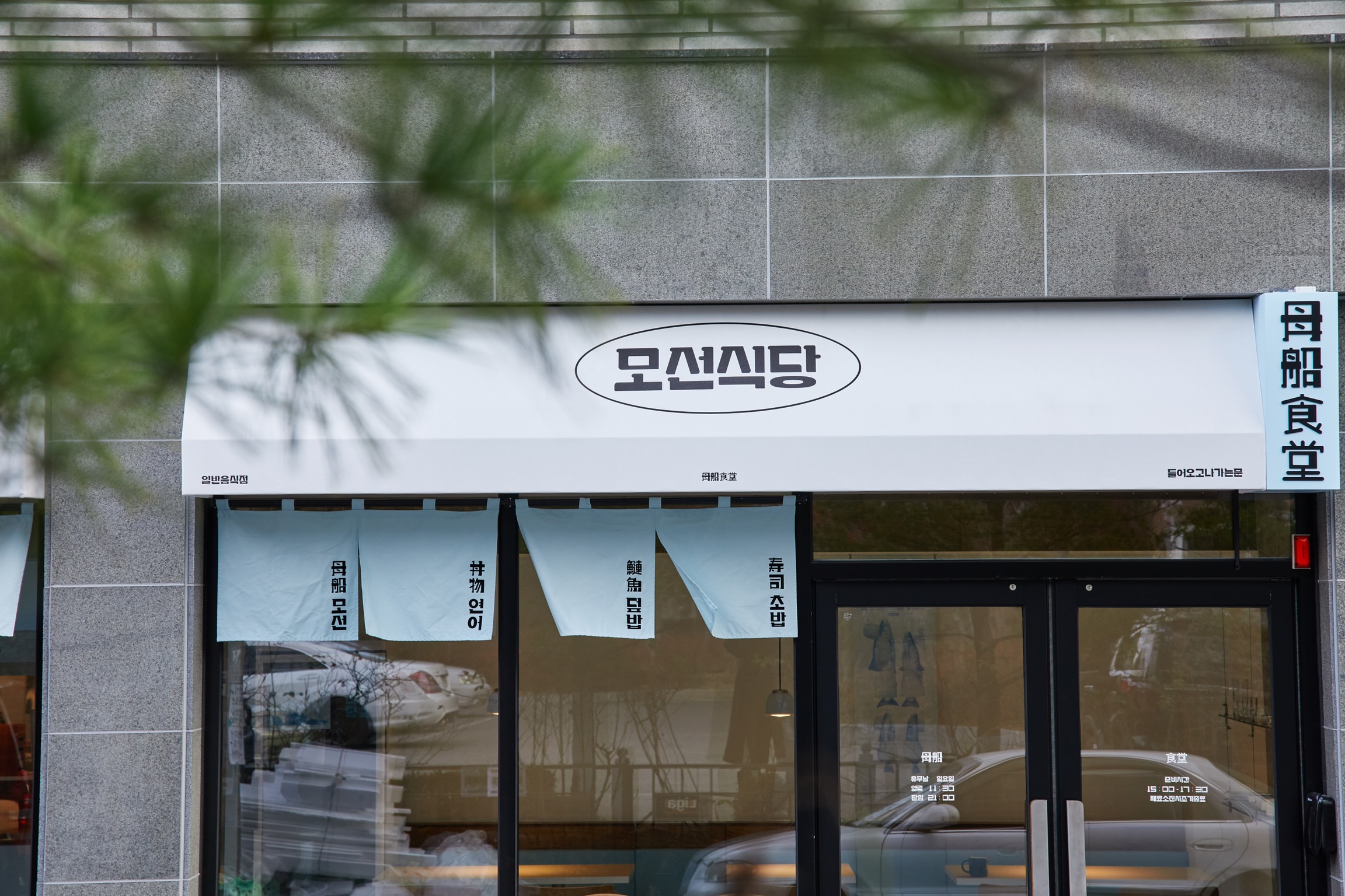 모선 사진