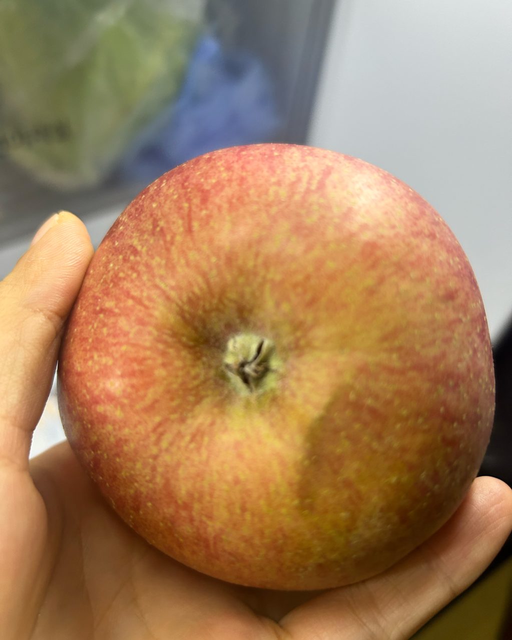 부평수산 사진