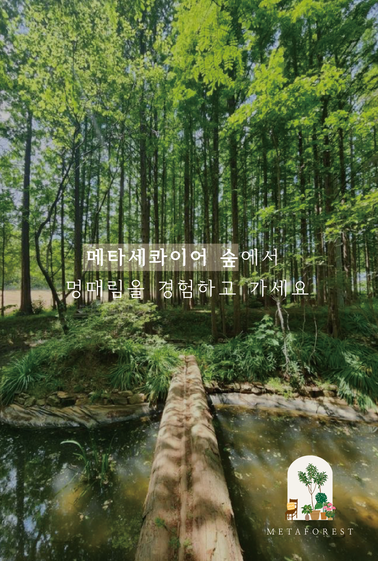 메타포레스트 사진 1