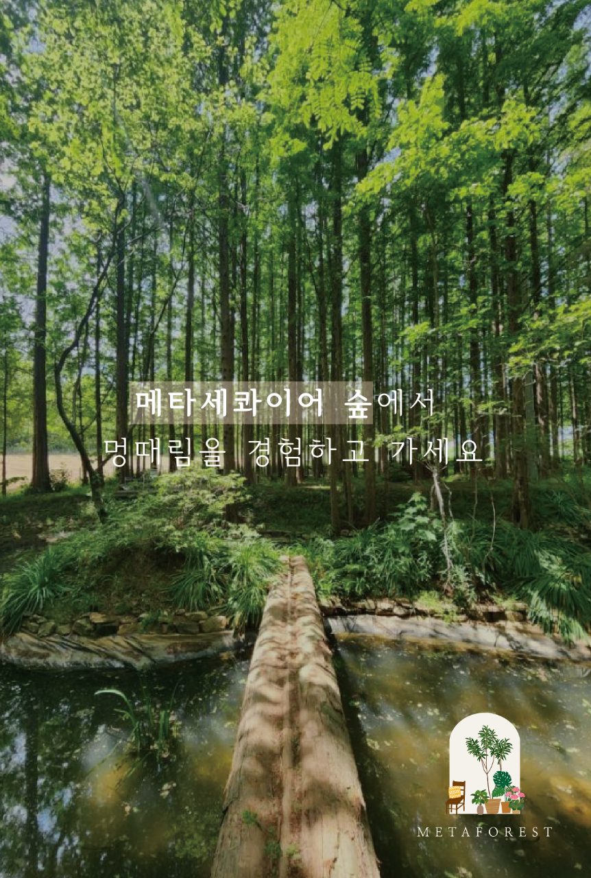 메타포레스트 사진