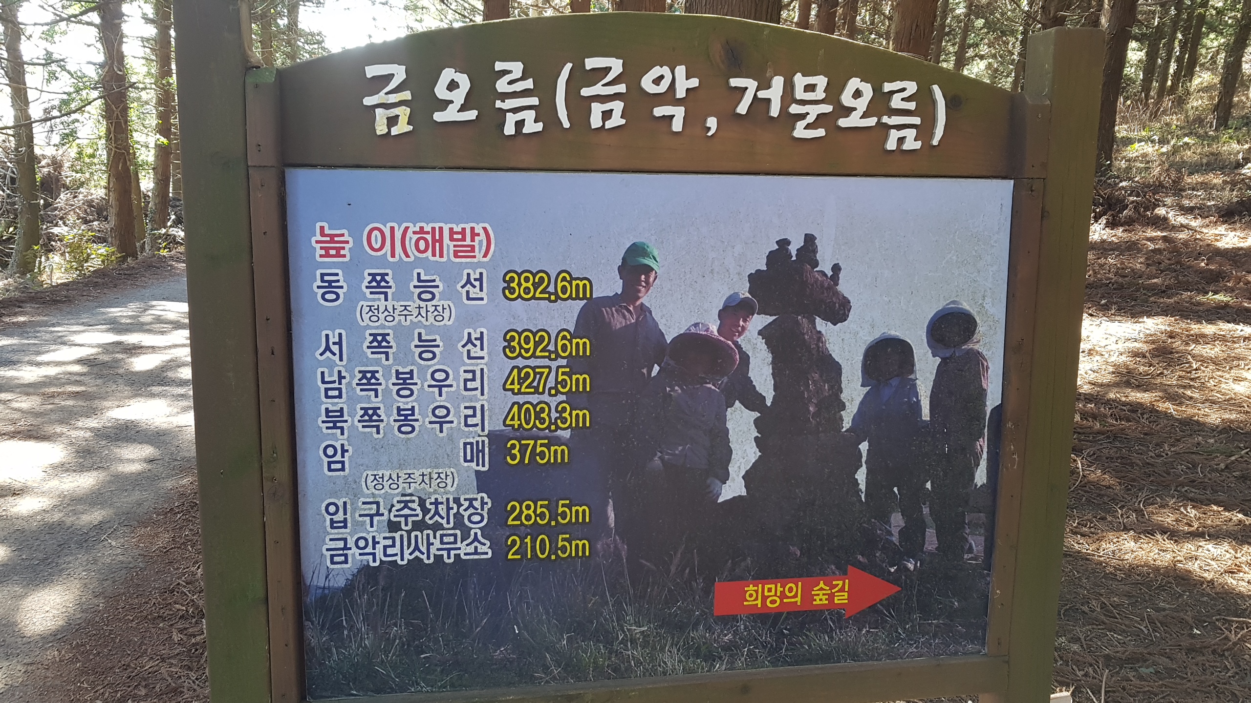 금오름 사진 4