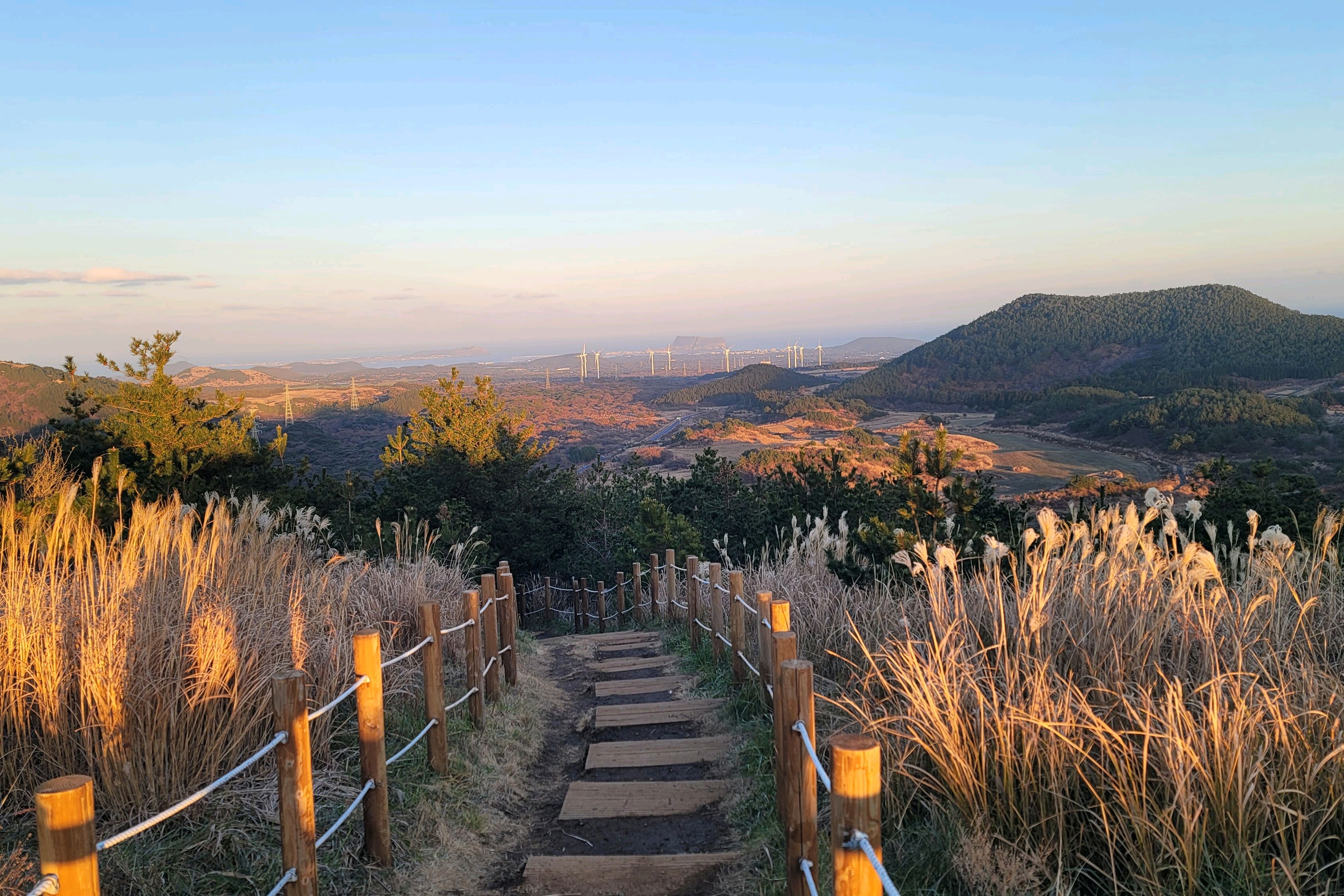 백약이오름 사진 4