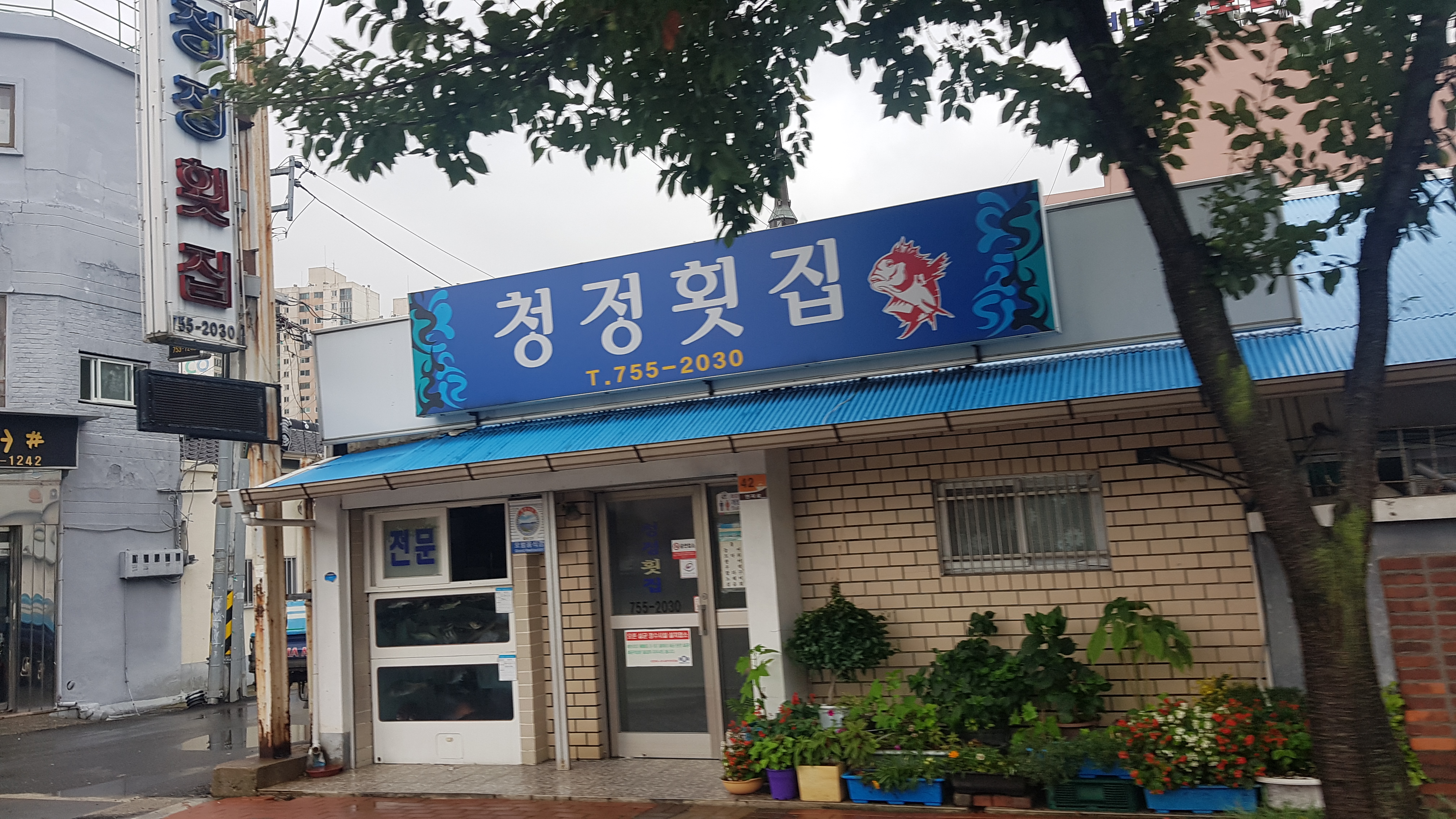 청정횟집 사진