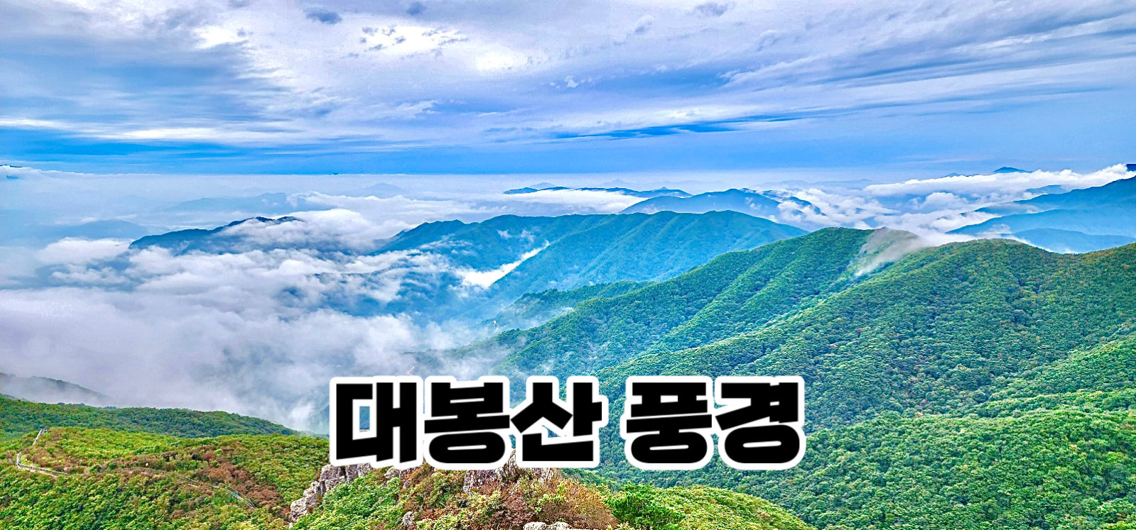 대봉스카이랜드 사진 2