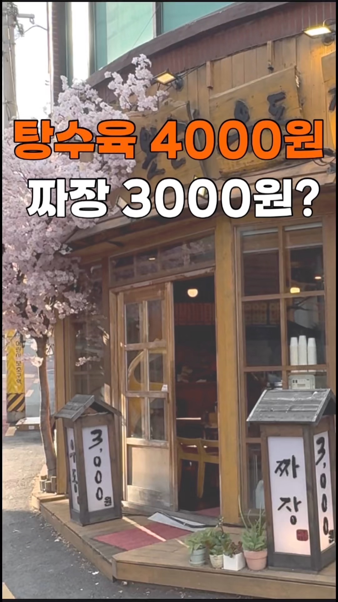 왼손 우동짜장탕수육 사진 1