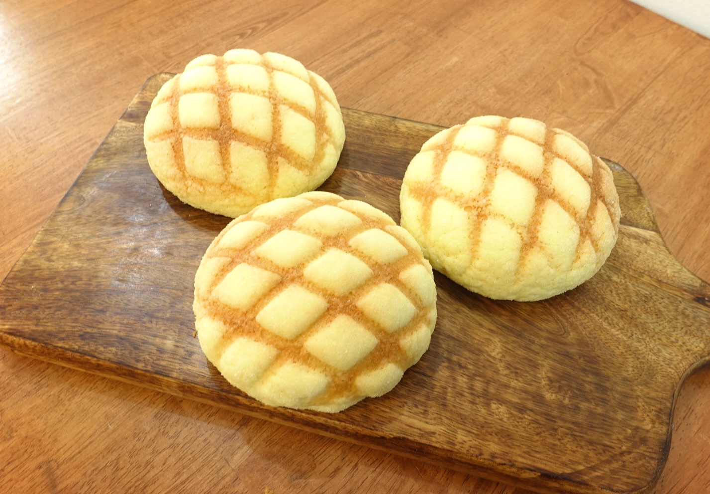 카멜리온 사진 3