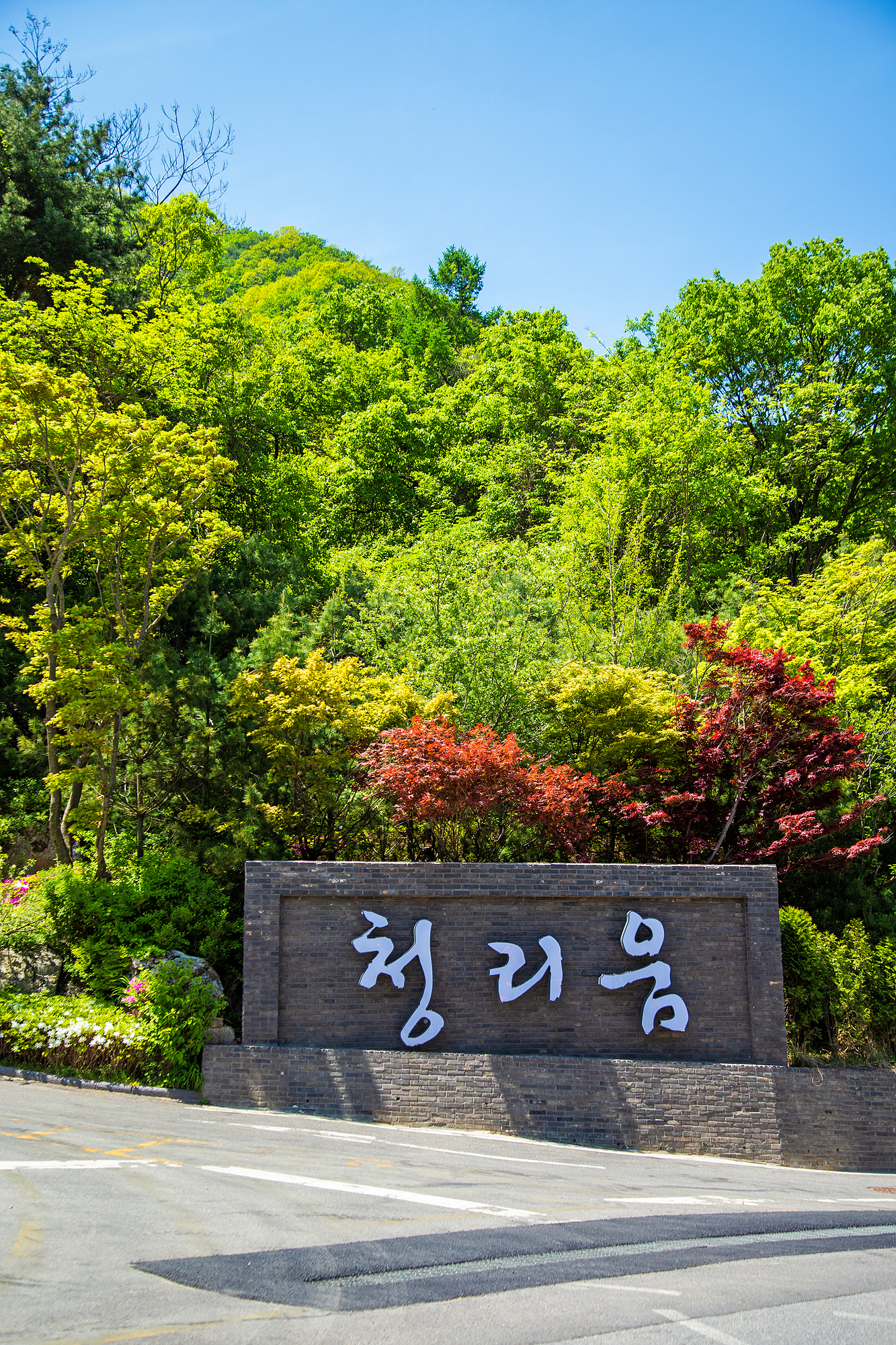 청리움 사진 2