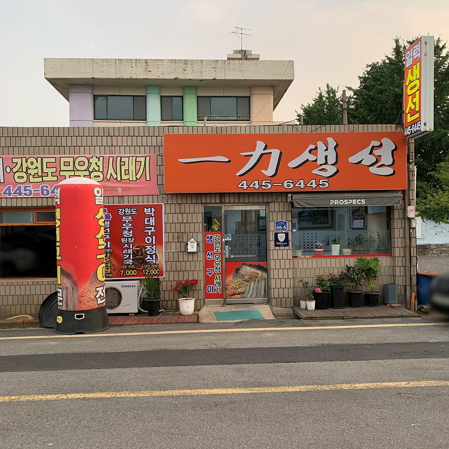 일력생선 사진 3