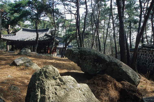 고하도 사진 5