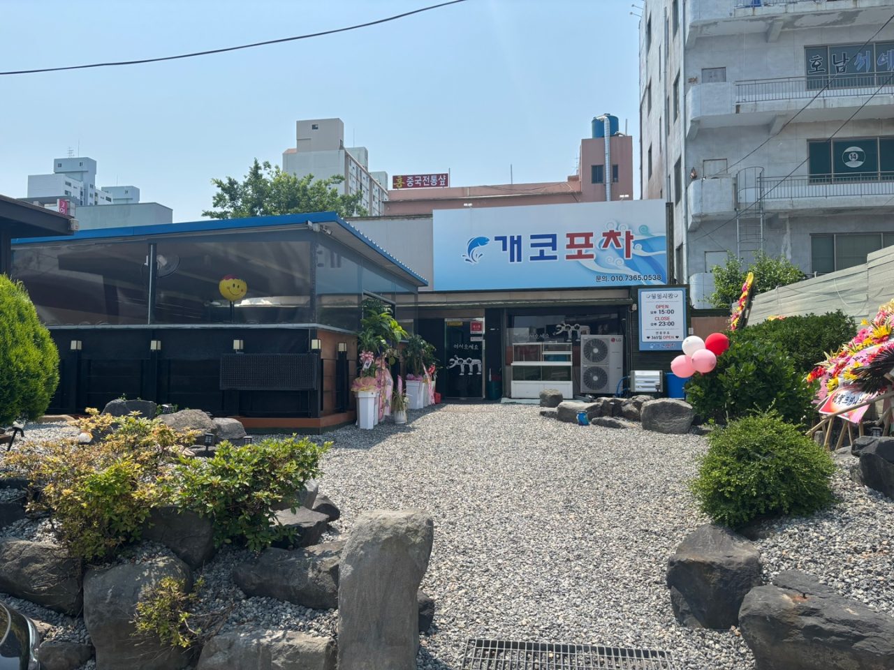 개코포차 사진