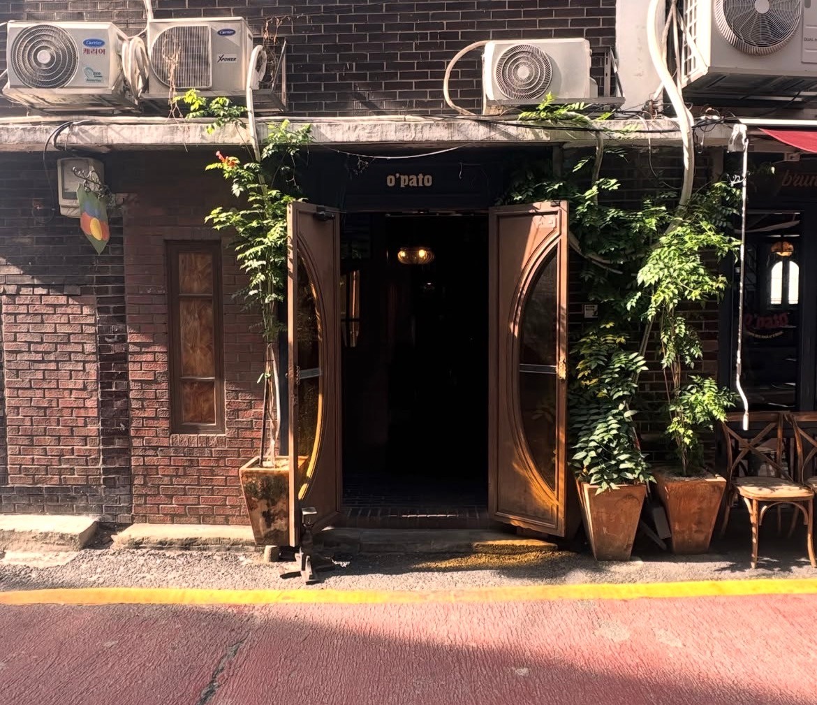 오파토 사진