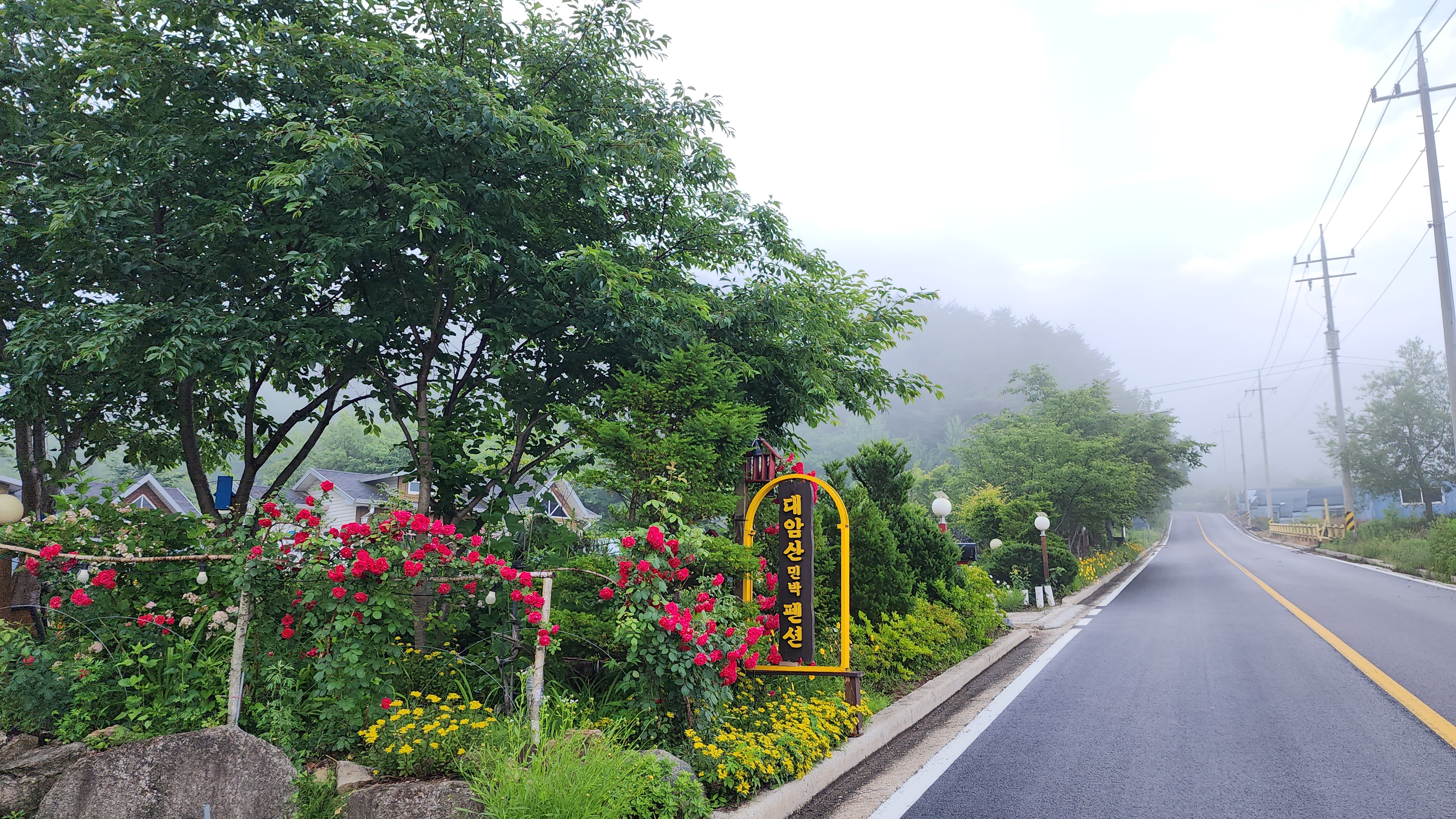 대암산 사진