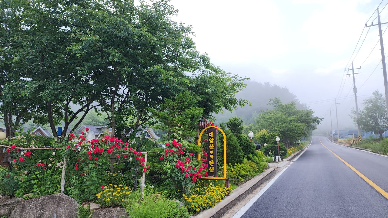 대암산 사진