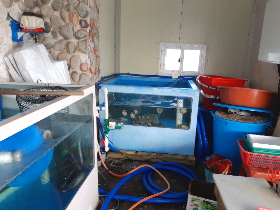 충남수산 사진 5