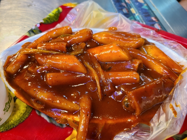 쌍둥이네 사진